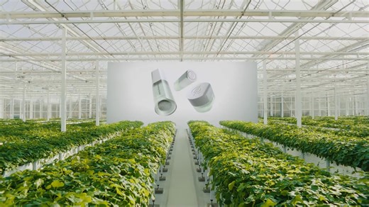 “Who is Riman? 🌸 Riman is Korea’s No.1 premium skincare brand — where nature, science, and innovation come together to reveal your true glow. ✨ Born in the heart of Korea 🇰🇷, Riman harnesses the power of Jeju Lava Water, a rare and deeply purifying mineral water formed over thousands of years beneath Jeju Island’s volcanic rock. 💧🌋 Infused with the strength of Planted Giant ByoungPool, a botanical treasure known for its hydrating and skin-rejuvenating properties 🌿, Riman’s formulas deliver