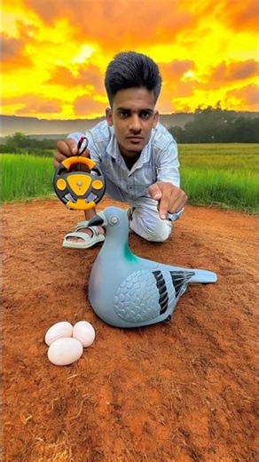 New Remote Control Pigeon Unboxing Dekho 😁