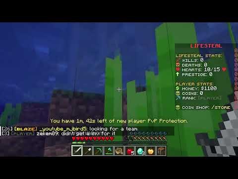 Getting Started: Wildwood SMP! (Minecraft)