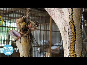 Louis Vuitton Is Trying to Hide Its Darkest Secret