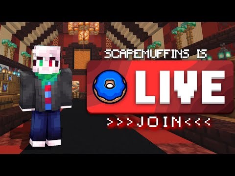 ⭐ Live - ⭐ Donut Smp | Rating bases 1m Per BOUNTY 🔴 (TTS DONOS 🗨️)