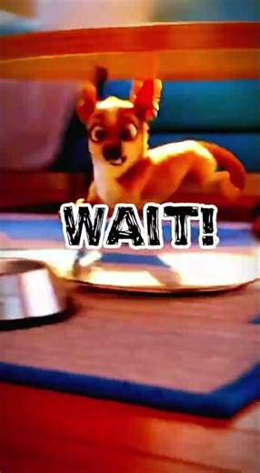 Quantum Pups Ultimate Freeze Frame Chaos