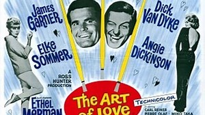 The Art of Love (1965) eng