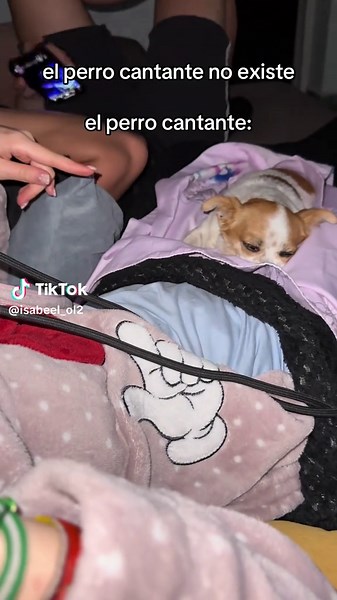 Rosalía Tiene Competencia: ¡Con Cuatro Patas!