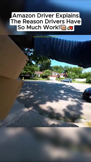 Insights into Life as an Amazon Delivery Driver