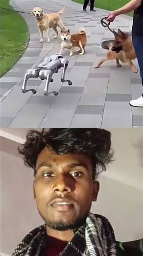 Dog and robot 🤖 prank video#viralreels