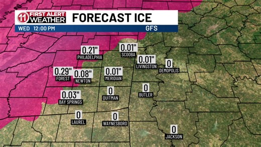 Going live with First Alert Weather meteorologist Tori Alvarado to go over this weekend's forecast. | WTOK-TV