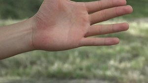 Counting Hands Fingers Numbers Stock Footage Video (100% Royalty-free) 8370577 | Shutterstock
