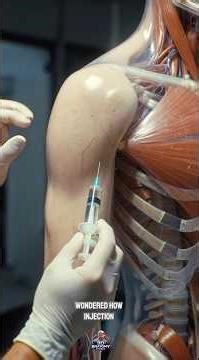 How Injection Medicine Works Inside Your Body #injection #humanbody #science #3dmedical