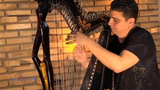 8.6K views · 272 reactions | ✨G E N I A L I D A D✨ "Piano" de Juan Fernando Silvetti Adorno, más conocido como Bebu Silvetti y la maravillosa versión en Rumba de la misma, a cargo de Marcelo Rojas gran arpista paraguayo que demuestra su versatilidad y excelencia en la ejecución del arpa paraguaya  | Paraguay Proyecta | Facebook