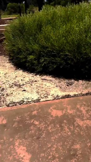 Sikorsky UH-60 Black Hawk 🚁 #fly #flight #helicopter #flying #pilot | BM helicopters