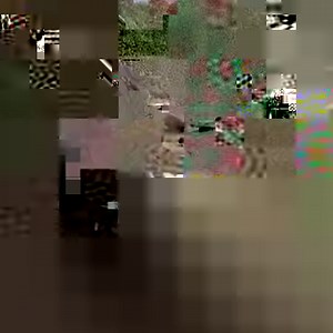 Police officer in Mexico stands guard over a beach full of nesting endangered sea turtles. http://abcn.ws/2zEzOkM | ABC News