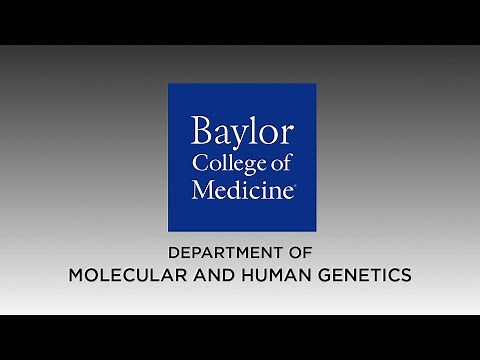 Genetics at Baylor College of Medicine