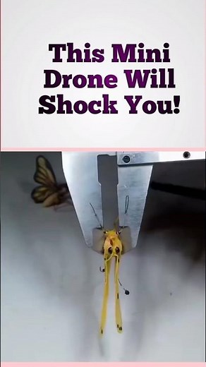 World’s Smallest Drone… Unbelievable!