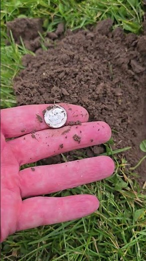 190 Detectorists Missed It… The Manticore Didn’t! Hidden Silver Found