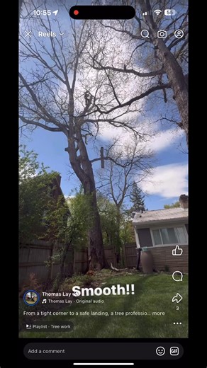 2.8K views | From a tight corner to a safe landing, a tree professional shows how experience and careful rigging turn a challenging drop into a seamless, carefully calculated move. Resulting in a perfect cut! # arborist #treework #rigging #safework #loglowering #treecare #treeprofessional #riggingexpert # arboriculture | Lay’s Tree Service | Facebook