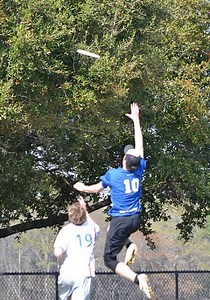 Eastview Alumni Lead the Way for Luther College Ultimate Frisbee