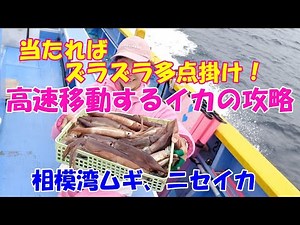 高速移動するイカを攻略しよう！当たればズラズラ多点掛け！【ムギイカニセイカ釣り】【直結仕掛け】【多点掛け】