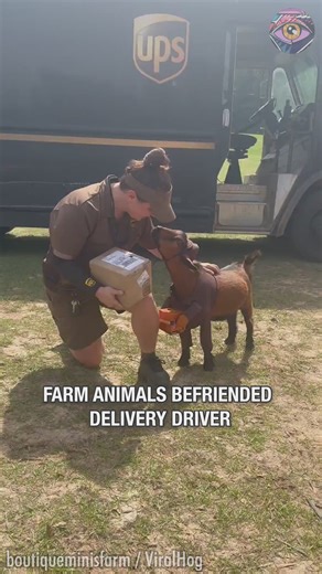 Your vibe attracts your tribe✨ #halloweenevent #halloweenevents | Bright Side Fun