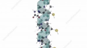 Alpha helix protein structure, animation - Stock Video Clip - K005/6274