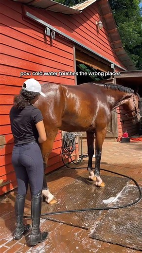 My Bad 😂😂🚿🚿 #equestrian #equestrianlife #shortvideo #viralvideo #viralreels #viralshorts