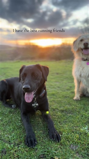 🏃‍♀️ the BEST #running #bestfriendgoals #endorphinchasing