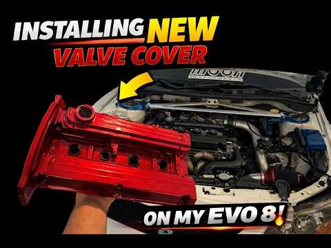 My Evo 8 Engine Bay Just Got a MAJOR Glow Up!