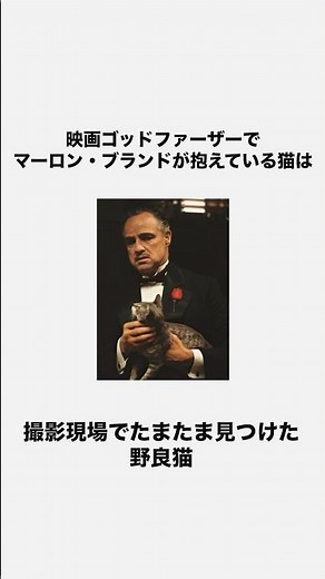 【映画トリビア】ゴッドファーザーの猫は…