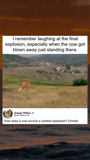 Laughing at the Final Explosion Scene