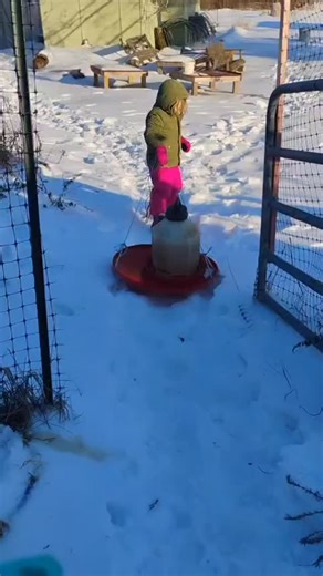 Ramblin Sol Farm on Instagram: "At least someone is having fun doing chores around here…this winter is exactly why we promised ourselves we’d just stick with vegetables and never have animals ….haha🙃 #FarmLife #FarmKids"