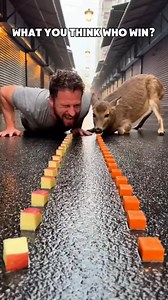 Dateline: Seattle, Washington – January 12, 2026: A rainy alleyway in downtown Seattle became the stage for one of the most unusual athletic competitions ever caught on camera. Fitness enthusiast Mark Thompson challenged a local deer to a high-speed eating contest on the wet pavement. With rows of diced fruit and vegetables meticulously laid out, the race was on. Thompson can be seen giving it his all, but the deer’s natural grazing instincts proved superior as it effortlessly cleared its row be
