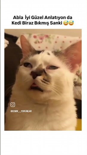 PAPÇİ MOBİLE ÖNEMLİ AÇIKLAMA