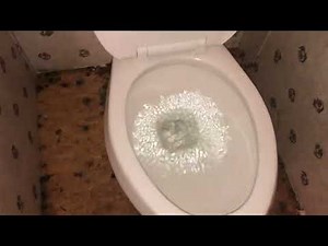 Crane Hymont Toilet Installed Flushing