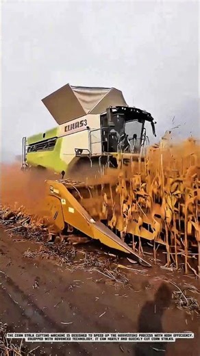 Corn Stalk Cutting Machine: Efficient Agriculture with Advanced Technology #AgriculturalInnovation