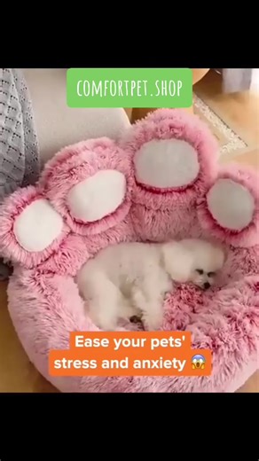 Check out the Calming Paw Pet Bed! 🐾 Our unique paw shape and raised rim provide the perfect level of comfort and support for your furry friend. #pet #pets #petsmart #petcomfort #comfort #comfortable #petsathome #cat #cats #catsoftiktok #dog #dogs #dogsoftiktok #petshop #catbed #catlover