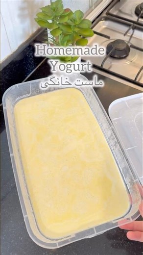Stop Buying Yogurt!make your own fresh & creamy yogurt #yogurt #sarascookingandbaking #homemadefood