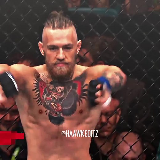 Conor McGregor Prime Highlights from 2014 | UFC MMA