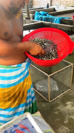 fish packing by sale #viral #fish | The Fish Farmer