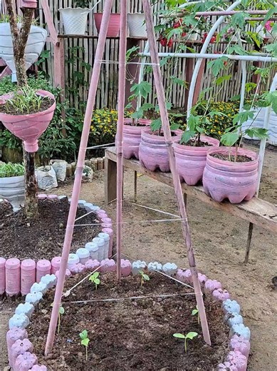 Creative Garden Trellis Ideas for Your Garden