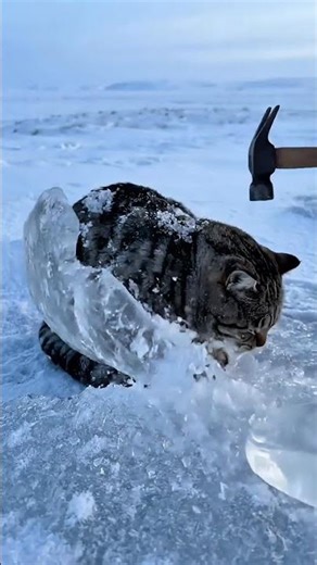 Searching Shadows: Saving the Lost Soul | POV Rescue Season 6