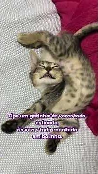 Química Orgânica Explicada por Gatinhos! 😺⚗️