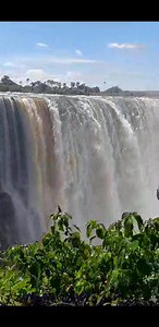Experience the thunderous roar of Victoria Falls in high water season! The cascading torrents and swirling mists create a mesmerizing dance of water, showcasing the raw beauty and power of our world. Dive into the magic! #VictoriaFalls #WaterfallWonder #Nature'sMajesty | Victoria Falls