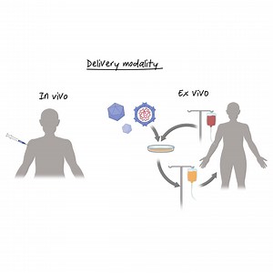 Nucleic Acid Therapeutics: Existing and Emerging Approaches for Managing and Treating Diseases | Harvard Medical School Professional, Corporate, and Continuing Education