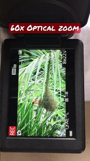 60x Optical zoom #Nikon