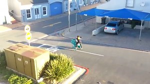 7 modes of transport you'll only find in South Africa