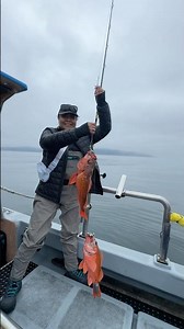 Calm seas & great Fishing #deepsea #rockfishfishing