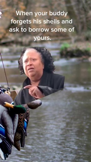 Duck Hunting Memes: The Funniest Moments