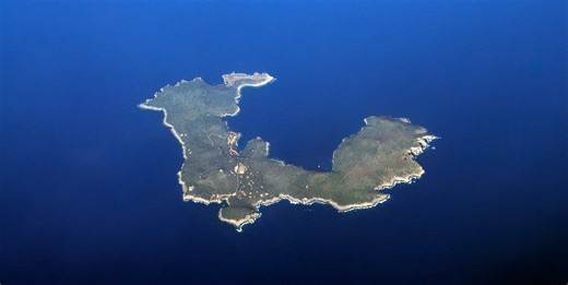 Questa città della Toscana ha vietato le api e il motivo fa ridere