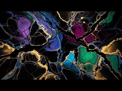 YOU BE YOU LIVE - BRYANT SMALL 📱