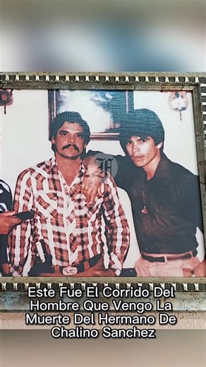 El Corrido Del Hombre Que Vengo La Muerte Del Hermano De Chalino Sanchez #chalinosanchez #corridos #regionalmexicano #corridospesados #chalino